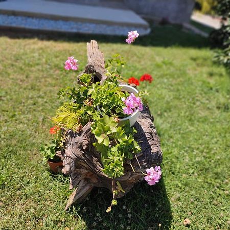 Villa Karolina Ohrid Eksteriør billede