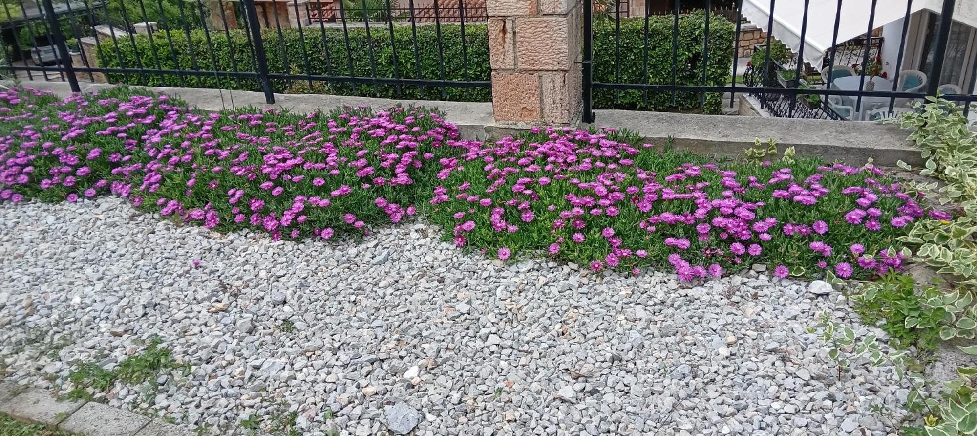 Villa Karolina Ohrid Eksteriør billede